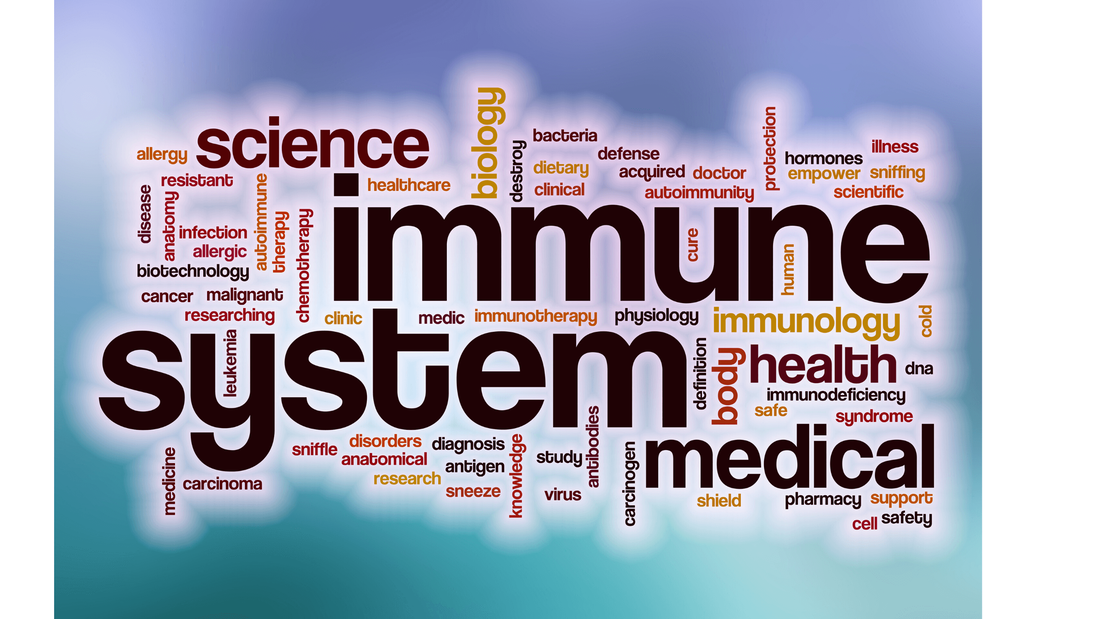 Immune system and personal training