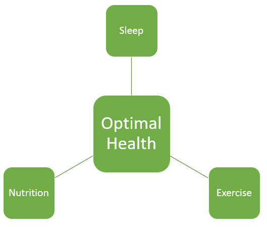 Personal Trainer Maynooth Optimal Health