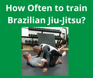 Personal trainer Maynooth BJJ training