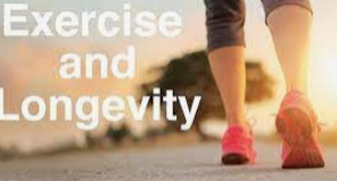Personal trainer Maynooth Exercise and longevity