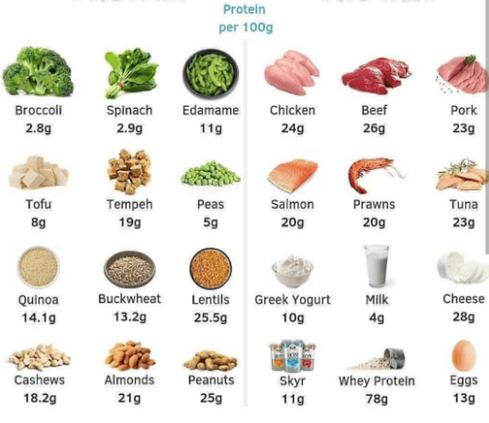 Protein amounts for good workout