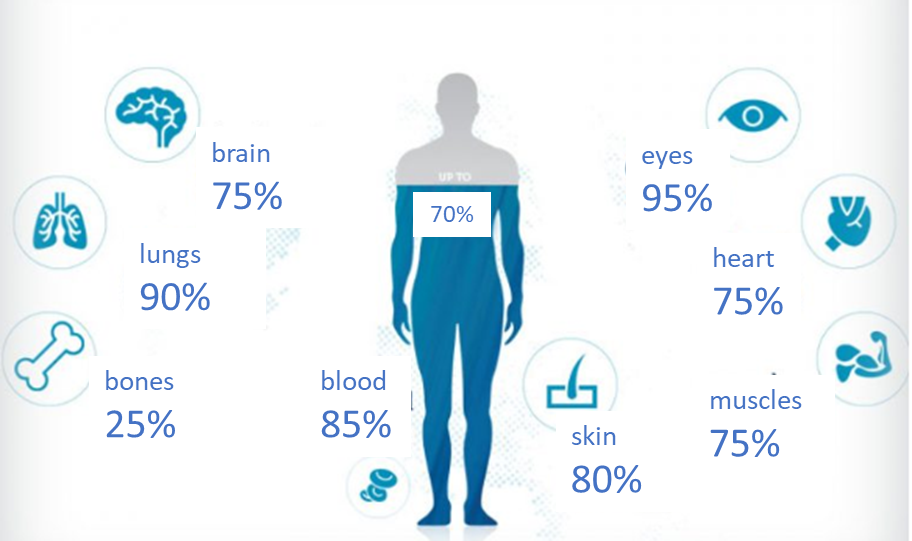 Water and body composition